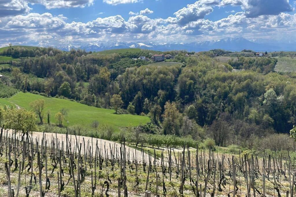 Вилла Spicchio Di Langa - Casa Indipendente Tra Le Vigne E Le Alpi Belvedere Langhe Экстерьер фото